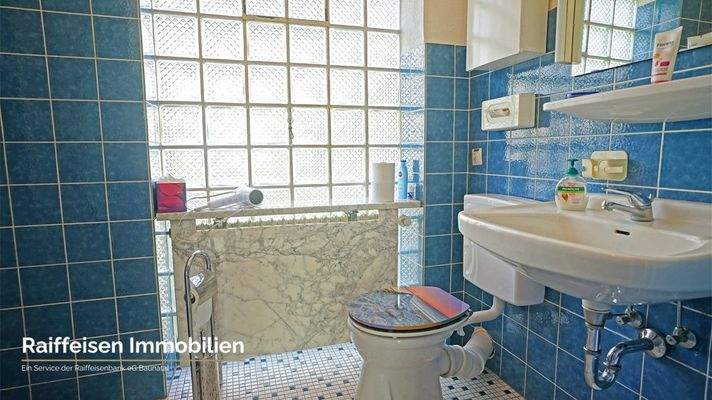 RAIBA IMMO - Wohnen am Sonnenhang 1 - WC blau