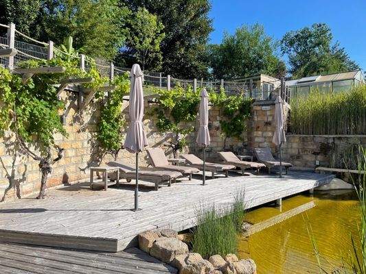 Liegefläche am Badeteich