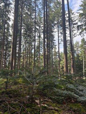 2025-08-22 15.23.48.jpg