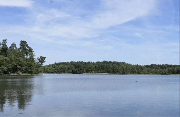 Umgebung Tegeler See