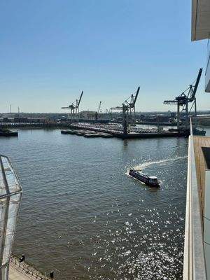 Unverbaubarer Blick auf die Elbe