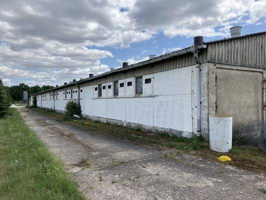 20250619_115807725_iOS