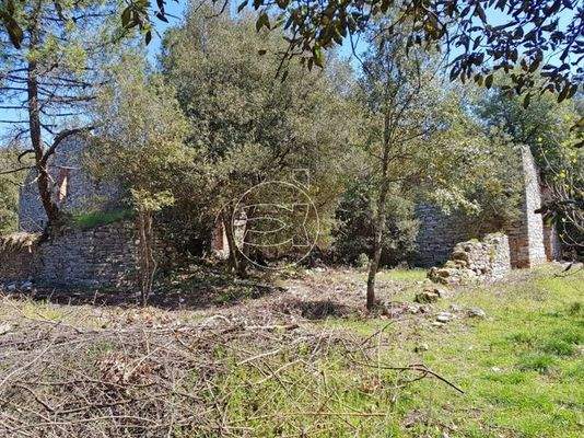 Luxus Anwesen | Rapolano Terme