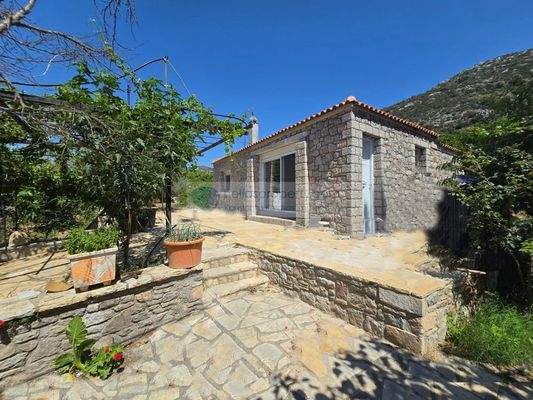 img_dfb9d3a4-abc4-4539-9f46-ff3ce69e8dfd