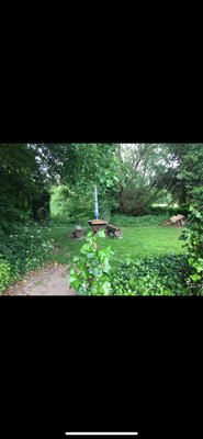 Garten unten 