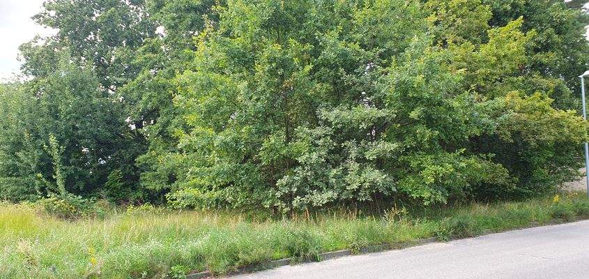 Blick zum Grundstück 