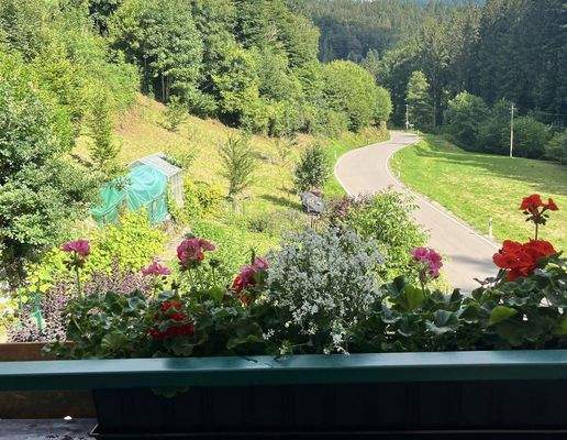 Vom Balkon OG in Garten