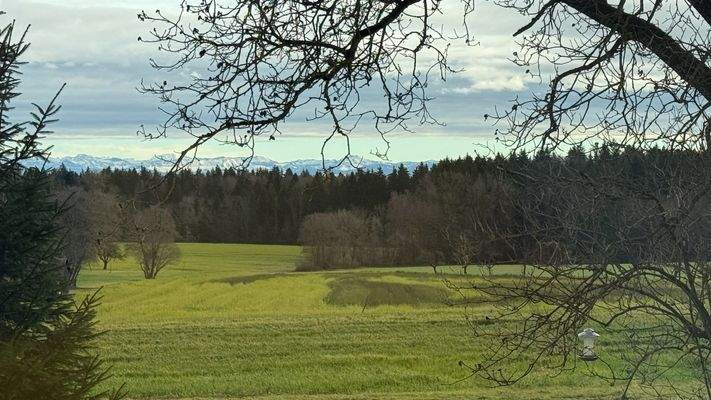 Weitsicht mit Alpen