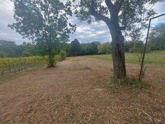 Blick von der "Almhütte" Richtung Senderstraße