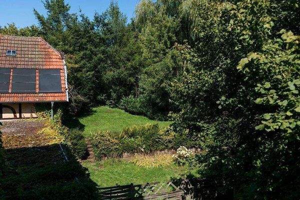 Blick in den Garten.jpg