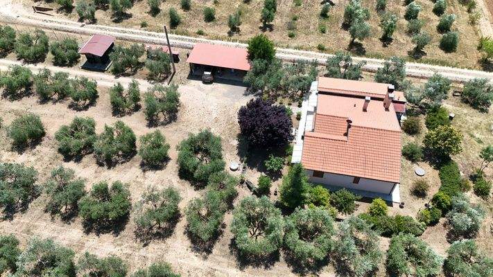 1904ACD4-4470-4B9B-8850-E68F09DA5DFA_1_102_o