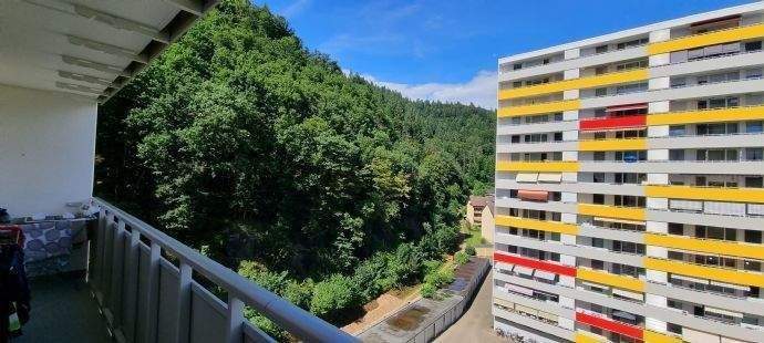 Aussicht zum Waldrand 