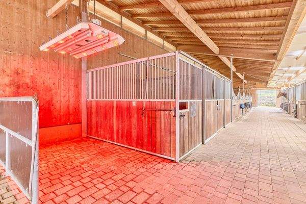 11 Einstaller-Stallung.jpg