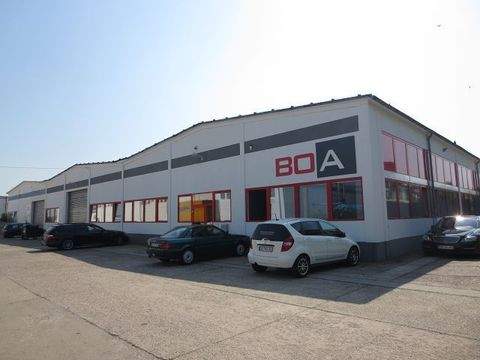 Großenhain Halle, Großenhain Hallenfläche