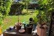 Garten.jpg