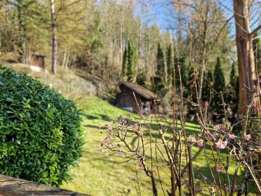 Bild 15