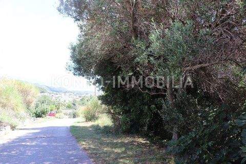 Rab Bauernhöfe, Landwirtschaft, Rab Forstwirtschaft