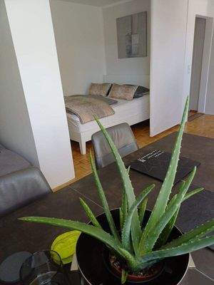 Blick vom Essbereich (2025)