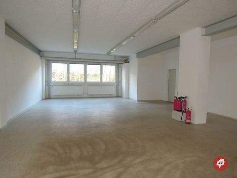 Kiel Halle, Kiel Hallenfläche