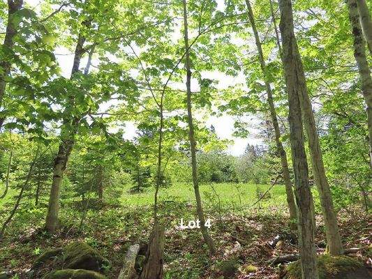 Cape Breton - Traumhaft schöne Naturlage am Middle