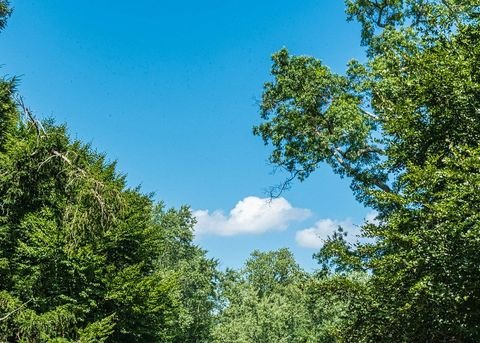 Wiesbaden Grundstücke, Wiesbaden Grundstück kaufen