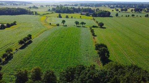Weddingstedt Bauernhöfe, Landwirtschaft, Weddingstedt Forstwirtschaft
