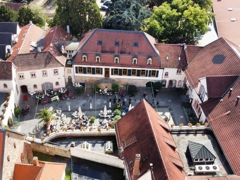 Wachenheim an der Weinstraße Büros, Büroräume, Büroflächen 