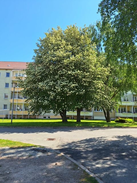Berlstedt Wohnungen, Berlstedt Wohnung kaufen