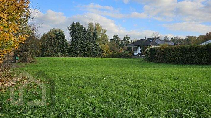 Blick von Straßenseite