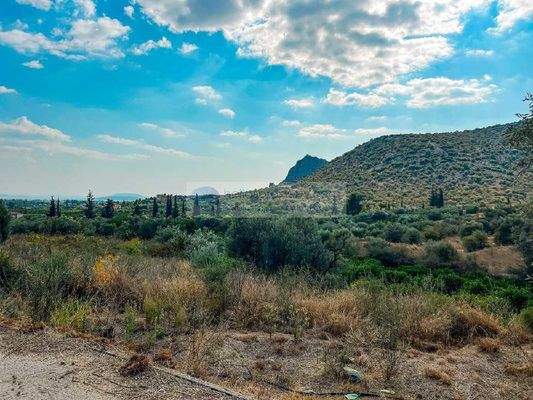 bf16db6675844949bffedad3fbfdc850-original