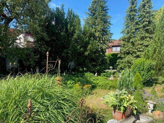 Blick in den Garten2