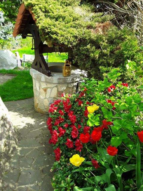 Dresden Häuser, Dresden Haus kaufen