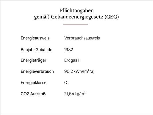 Energieangaben_neue Folie.jpg