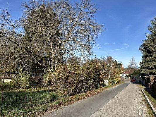 Blick Auf dem Berge in Richtung Hauffstraße