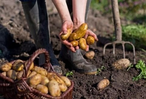 Weil am Rhein Grundstücke, Weil am Rhein Grundstück kaufen