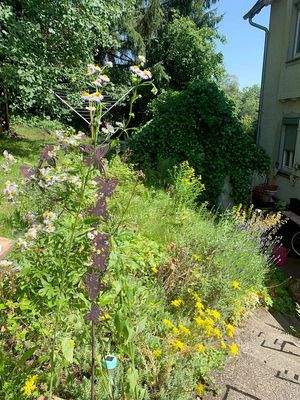 Blick auf den Garten