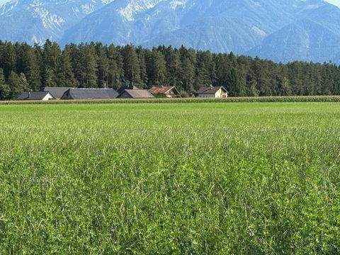 Mittlern Bauernhöfe, Landwirtschaft, Mittlern Forstwirtschaft