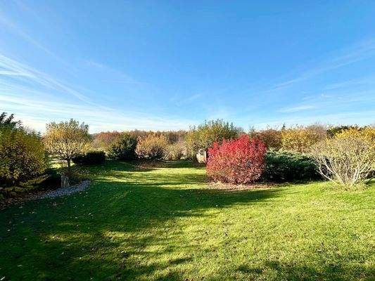 wunderschöner Garten