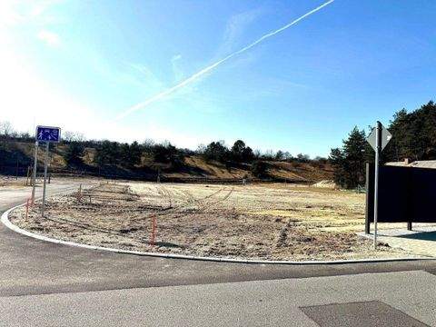 Plate Häuser, Plate Haus kaufen