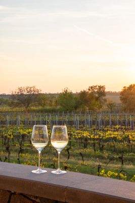 Kopie souboru DSC02151.jpg