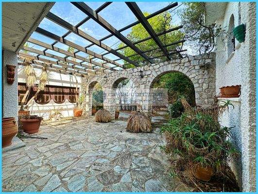 1d790714528c447a9a29a4151d34aa0d-original