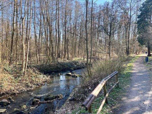 Die Berner Au angrenzend 