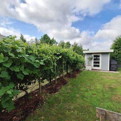 Garten - Blick Seitenterrasse