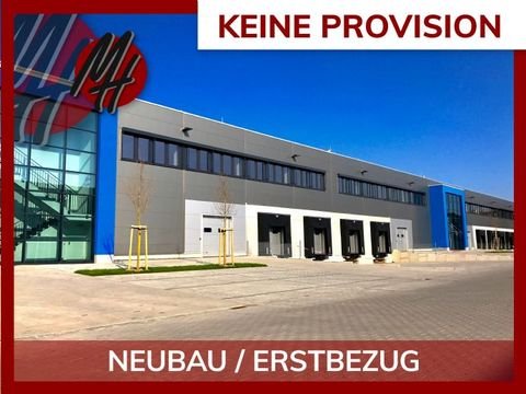 Neu-Isenburg Halle, Neu-Isenburg Hallenfläche