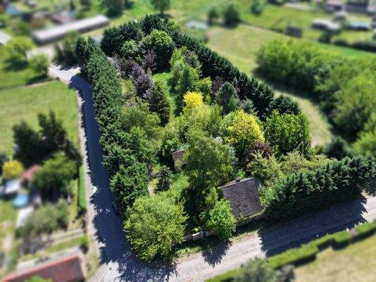 Grundstück mit Entfaltungspotenzial