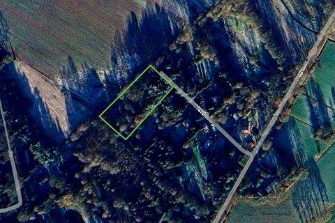 Fintel Häuser, Fintel Haus kaufen