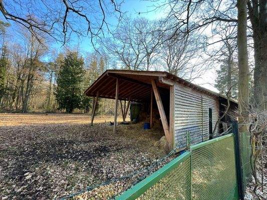 offener Schuppen 80 qm.jpg