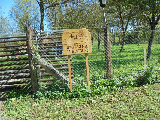 Familiengeführter Hof Jasna Ilekovic - 20  