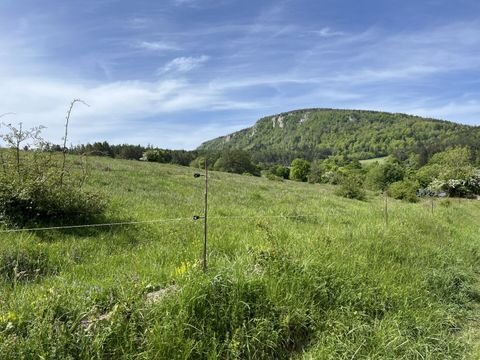 Dreistetten Wohnungen, Dreistetten Wohnung kaufen