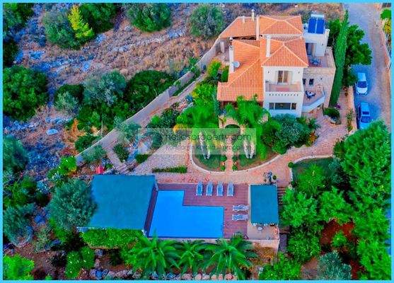 b34ce370b8224f2b8e57245e7b694310-original